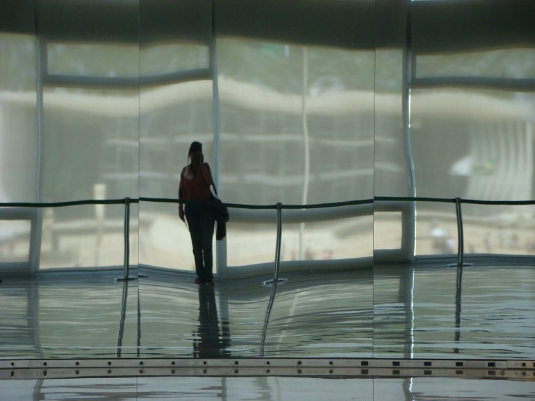 Inestabilidad reflejada
