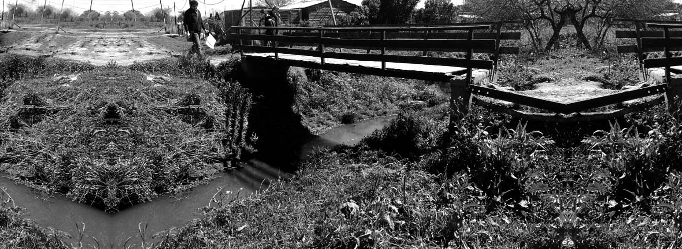 Infraestructura pública: Arquitectura e Ingeniería desarrollan un taller interdisciplinar