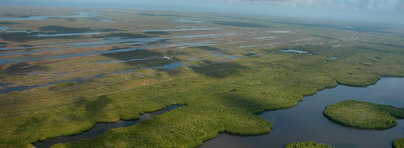 Incendios en el Delta del Paraná y en las Sierras Cordobesas: destrucción del ecosistema, modificación del paisaje