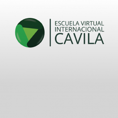 Convocatoria de cursos para la 8va Escuela Virtual Internacional CAVILA 2021