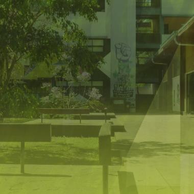 Se abre la convocatoria a 72 vacantes para Prácticas Pre Profesionales Asistidas