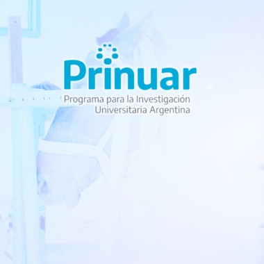 Última semana de inscripción al PRINUAR: nuevo sistema de categorización en investigación para docentes