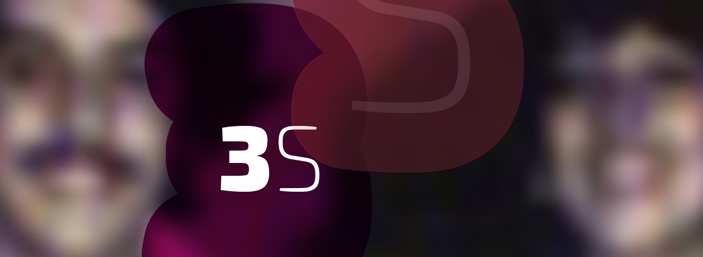 3S | Memoria en imágenes